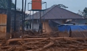 Banjir Bandang Desa Molino Morowali Utara Banjir bandang menerjang Desa Molino Morowali Utara, rumah warga rusak tertimbun lumpur dan kayu