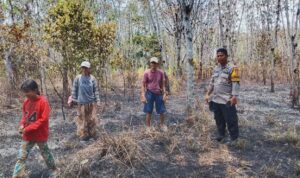 Bhabinkamtibmas bersama Warga Tinjau Lokasi Kebakaran Kebun Karet Kapolres Morowali Utara bersama warga meninjau lahan kebun karet yang terbakar di Desa Mora.