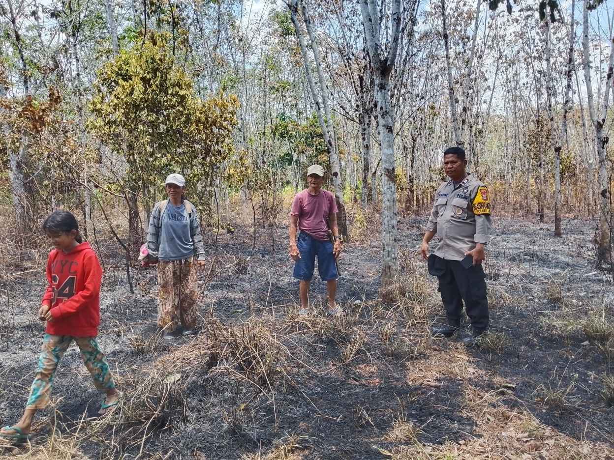 Bhabinkamtibmas bersama Warga Tinjau Lokasi Kebakaran Kebun Karet Kapolres Morowali Utara bersama warga meninjau lahan kebun karet yang terbakar di Desa Mora.